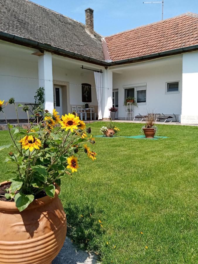 Apartman Katarina Backi Monostor Exterior photo