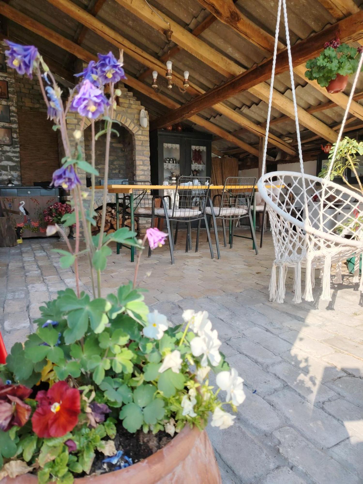 Apartman Katarina Backi Monostor Exterior photo