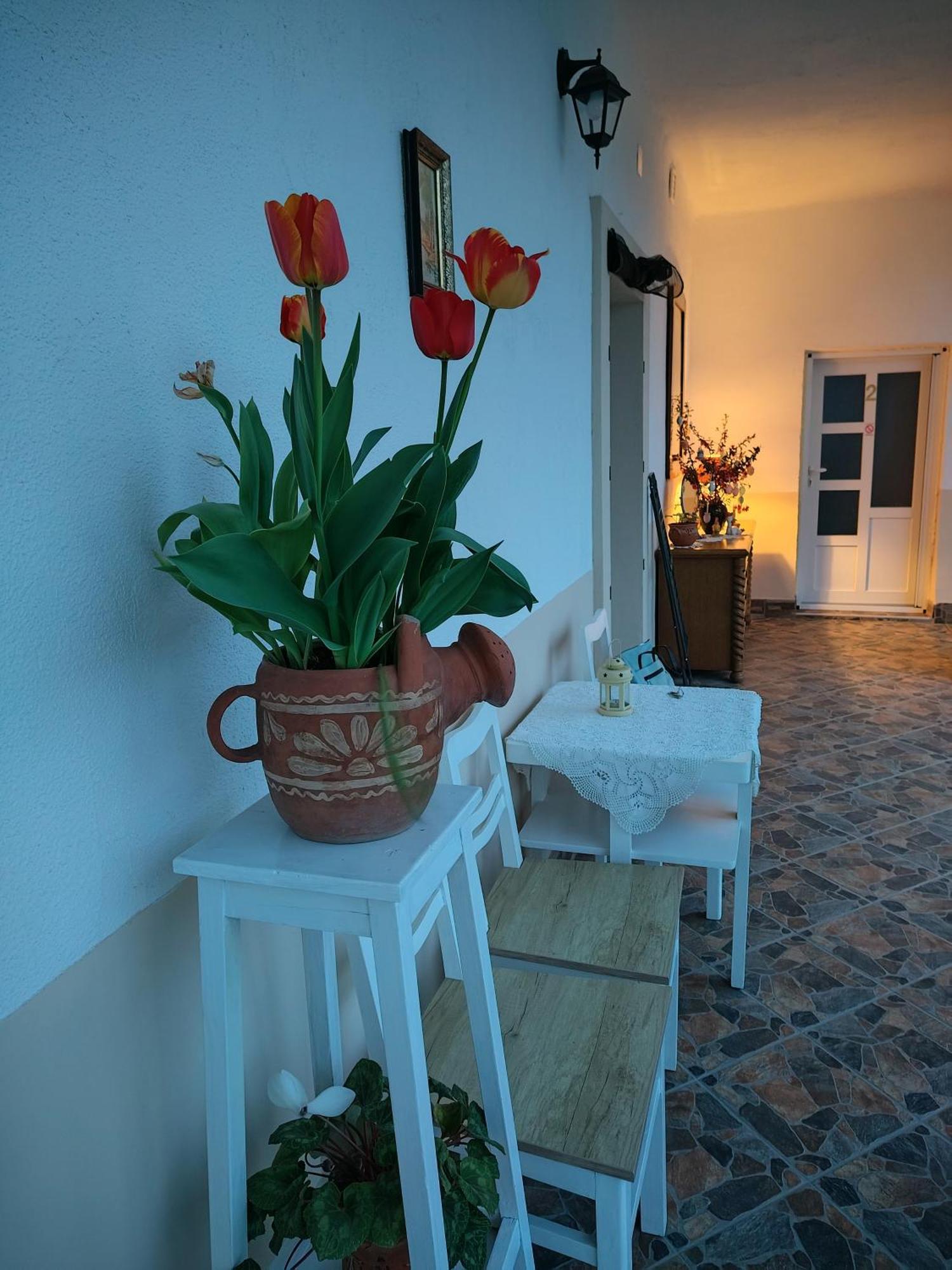 Apartman Katarina Backi Monostor Exterior photo